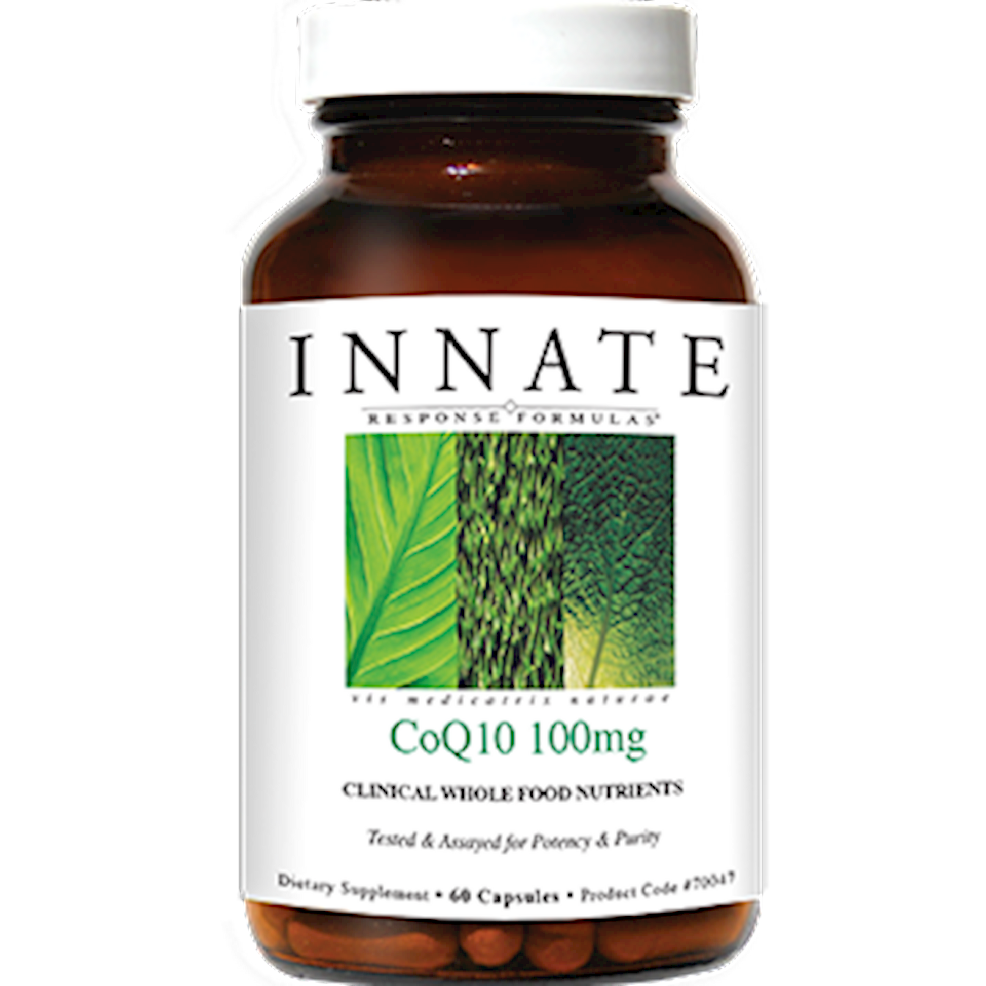 CoQ10 100mg