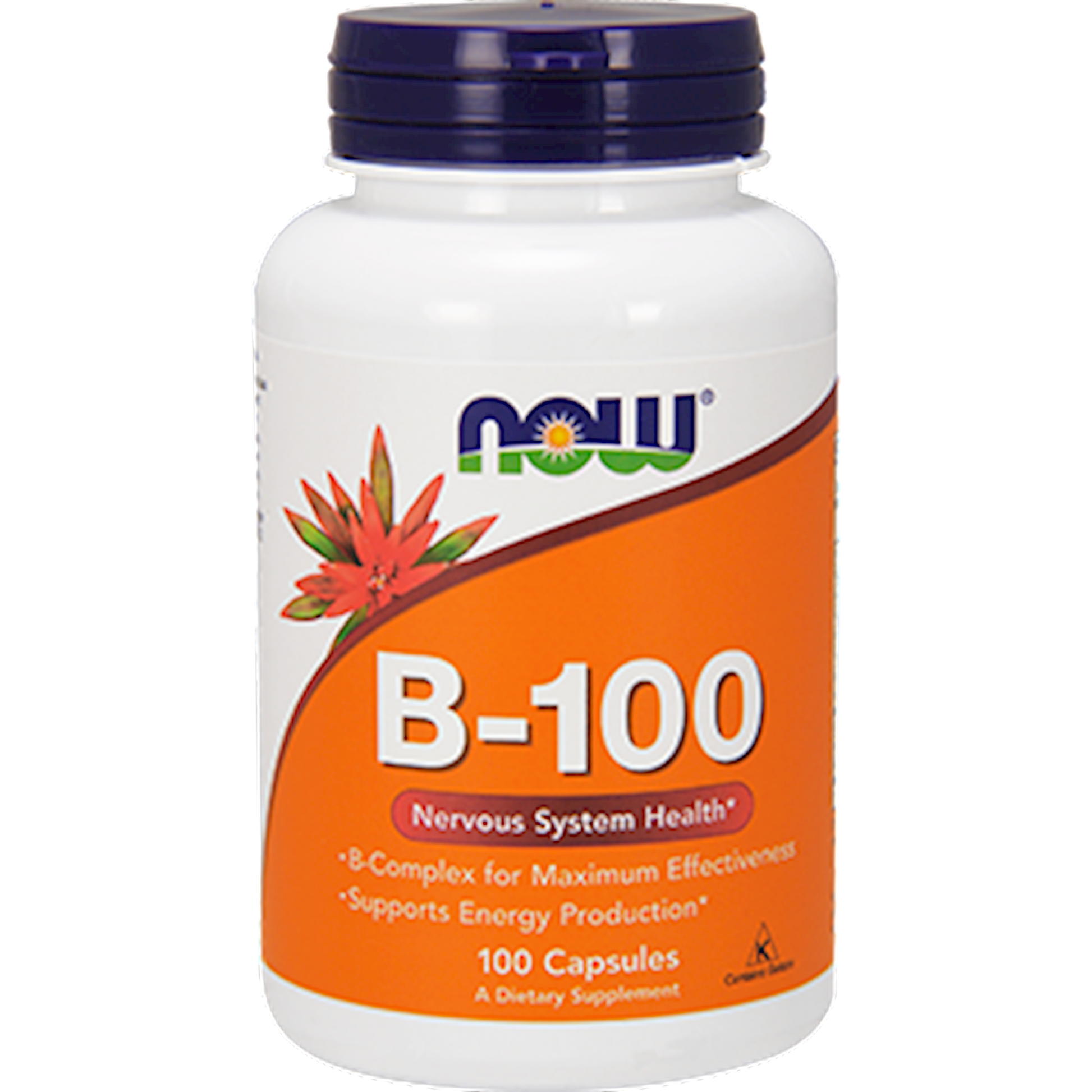 B-100