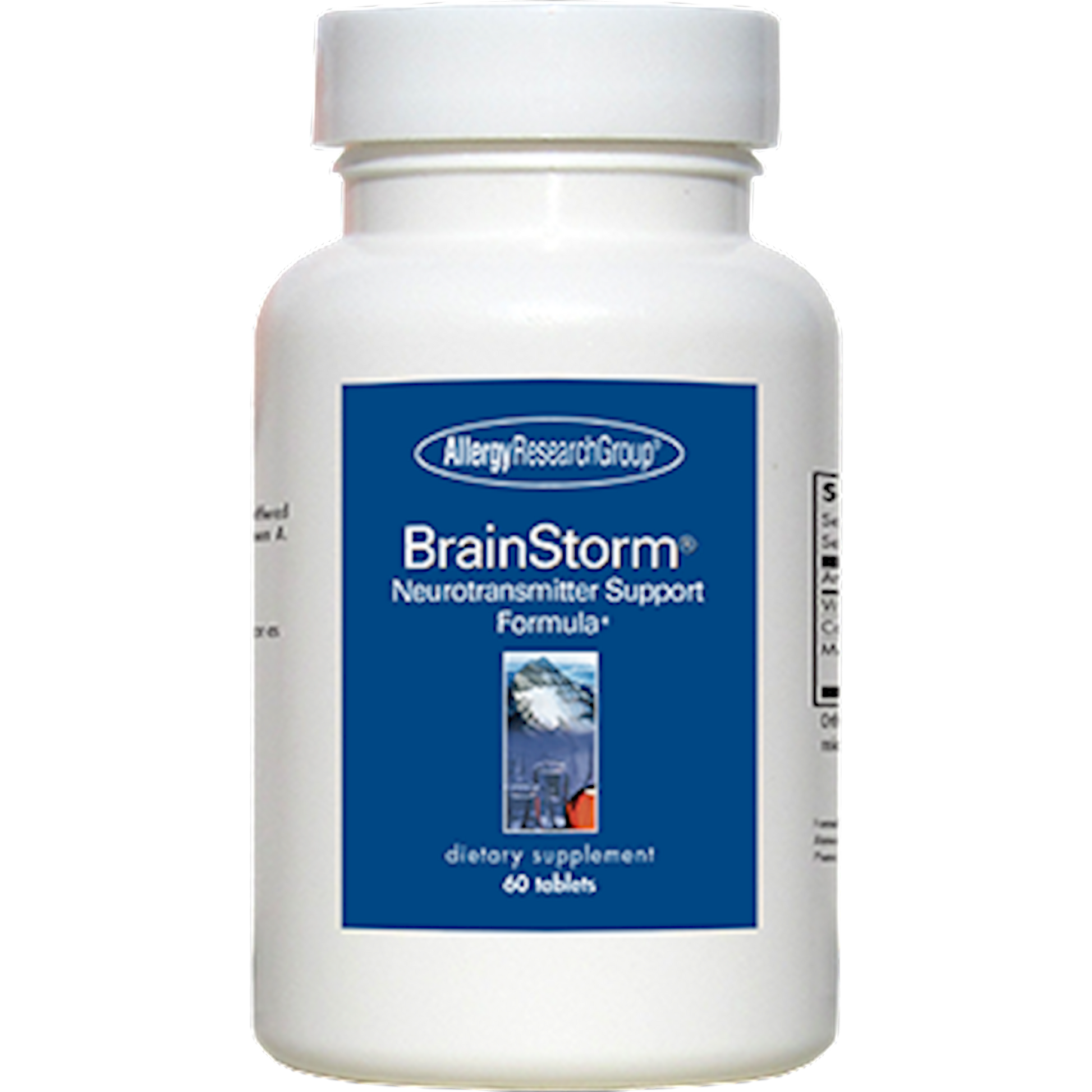 Brainstorm