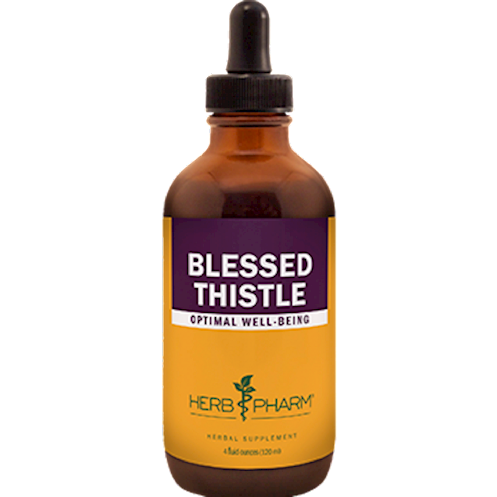 Blessed Thistle